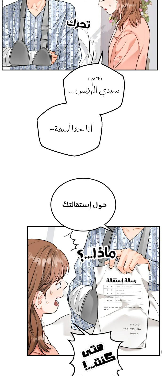 الصفحة 13
