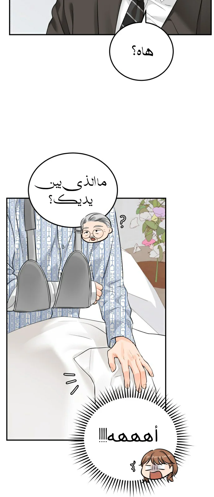 الصفحة 29