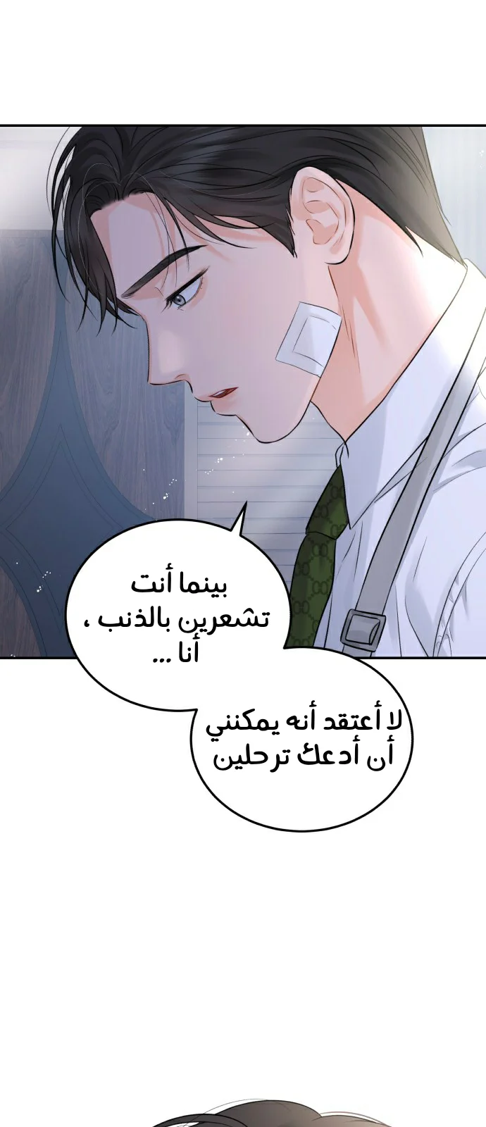 الصفحة 45