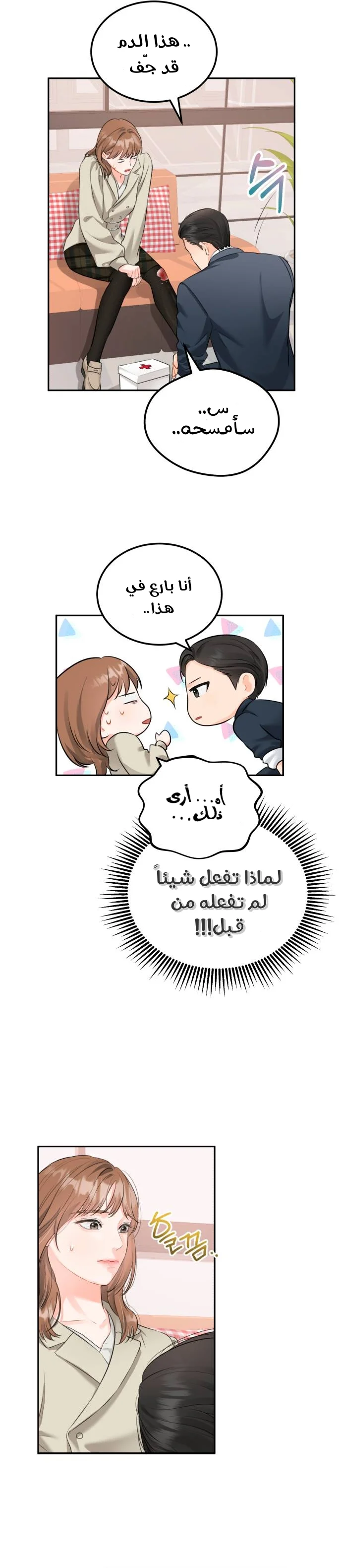 الصفحة 17