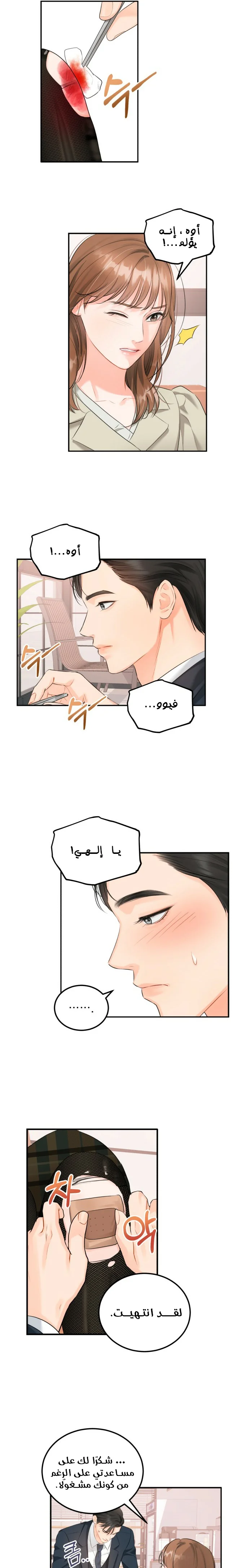 الصفحة 11
