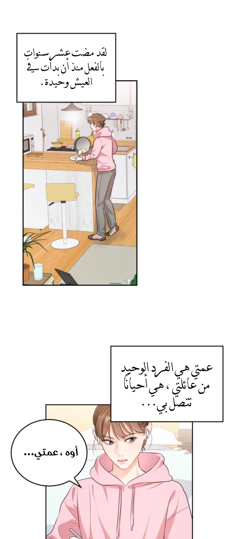 الصفحة 13