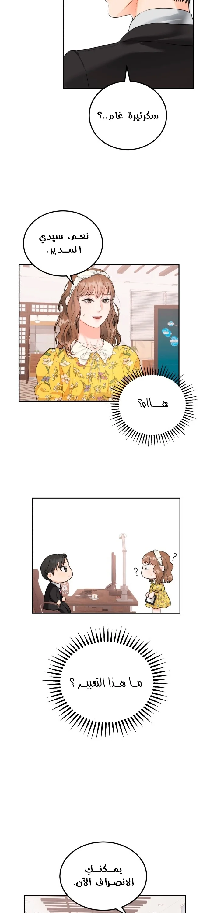 الصفحة 17