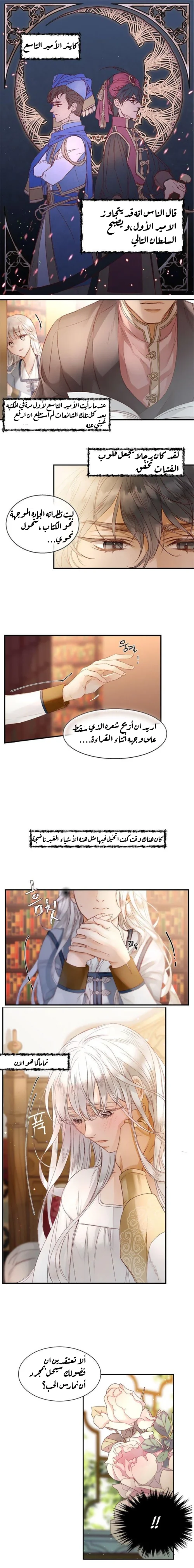 الصفحة 5