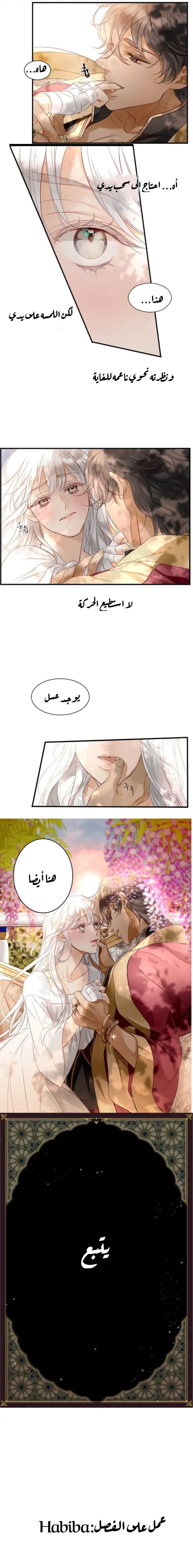 الصفحة 11