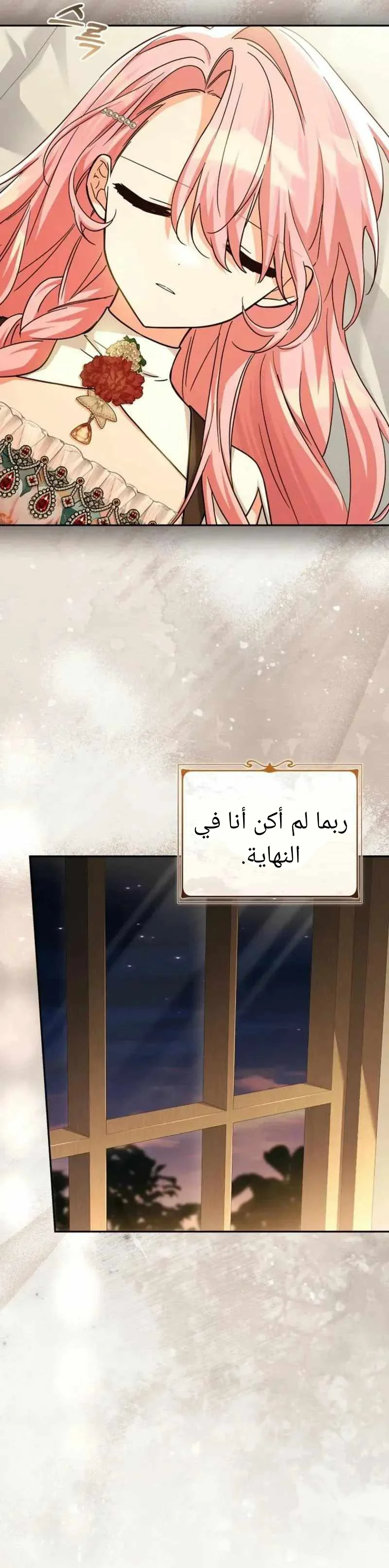 الصفحة 23