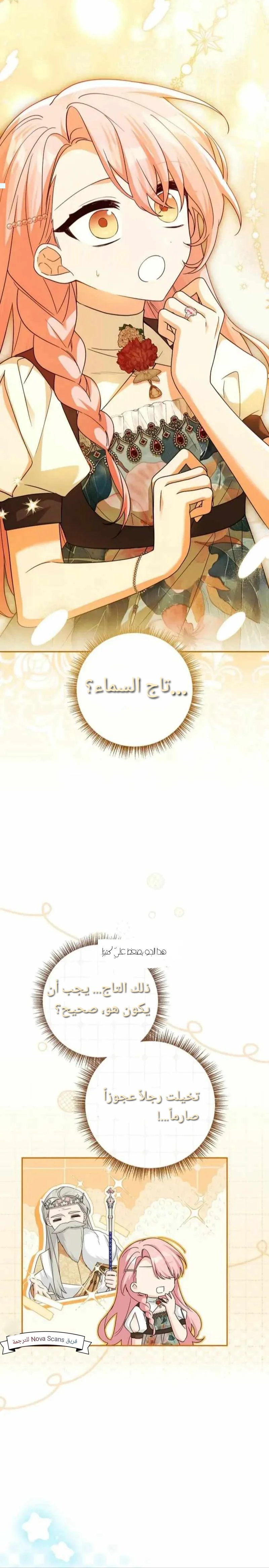 الصفحة 30