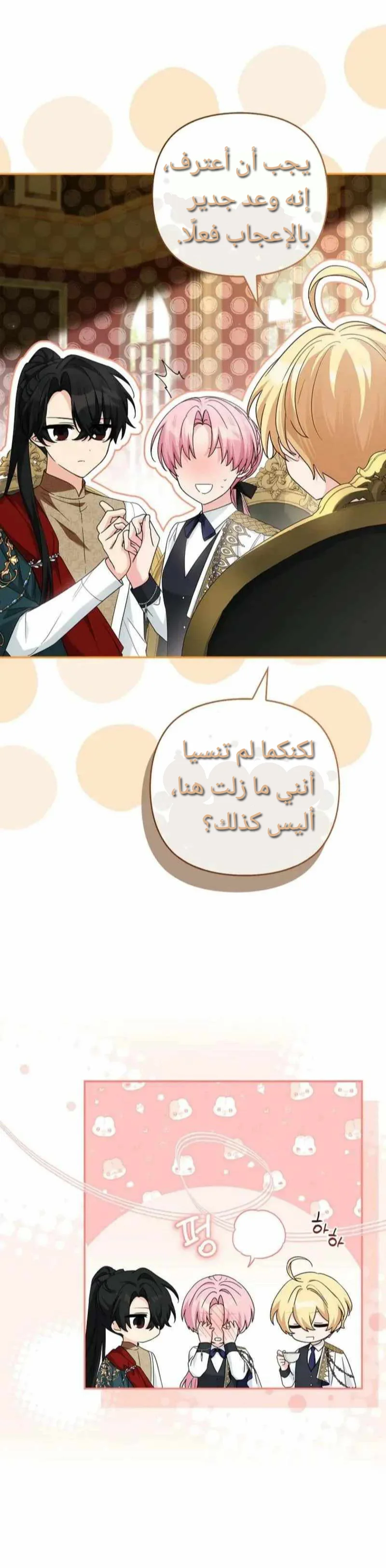 الصفحة 17