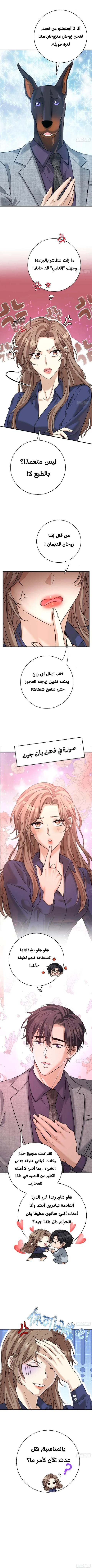 الصفحة 7