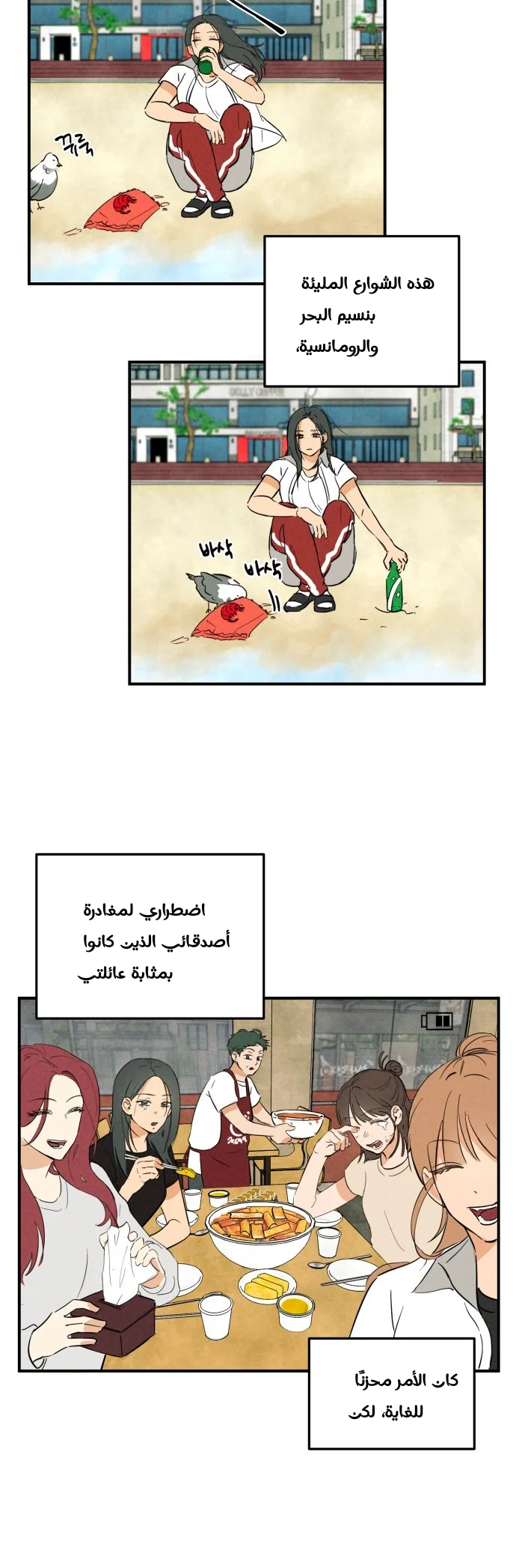 الصفحة 11