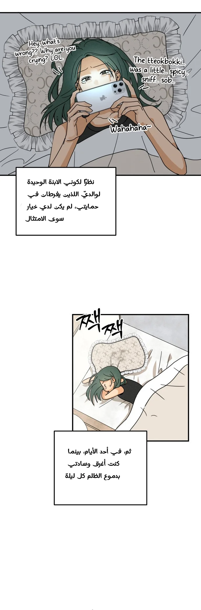 الصفحة 12