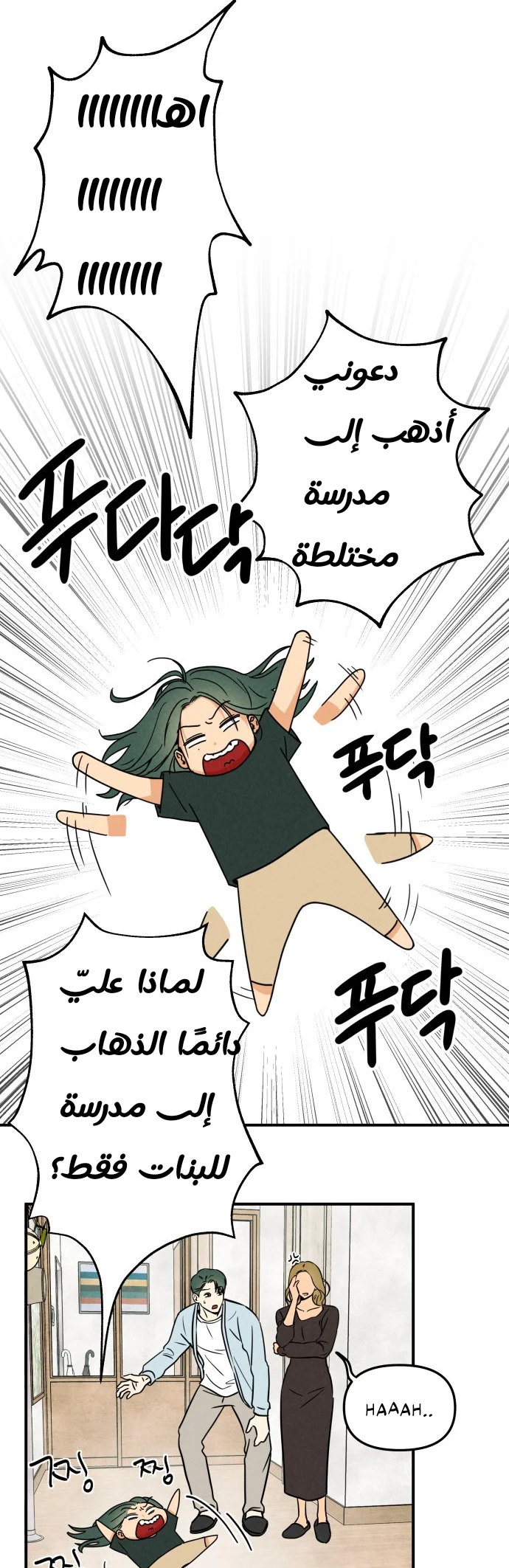 الصفحة 13