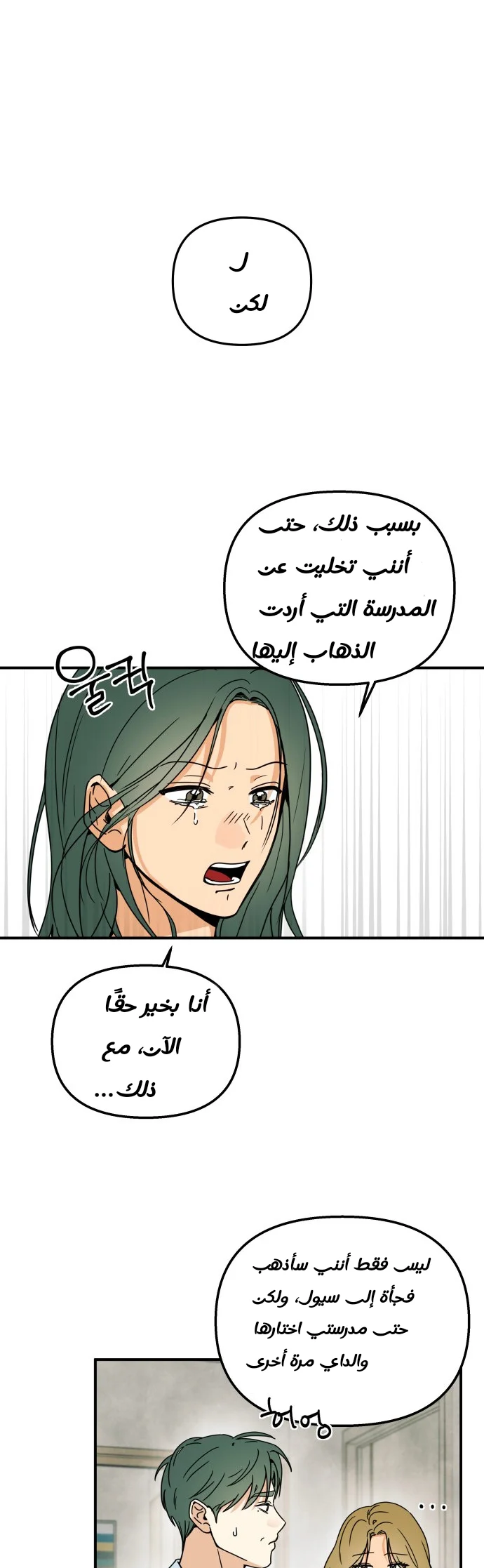 الصفحة 17