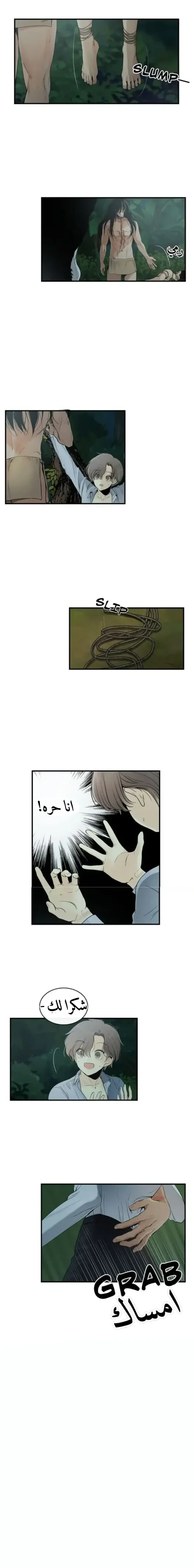 الصفحة 7