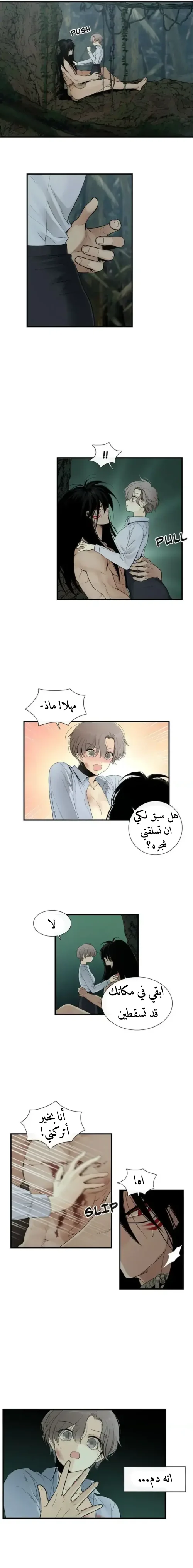 الصفحة 15