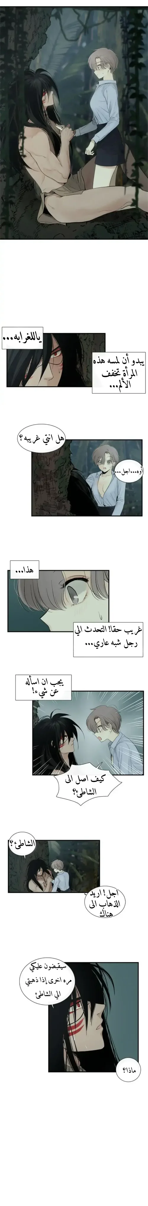 الصفحة 17