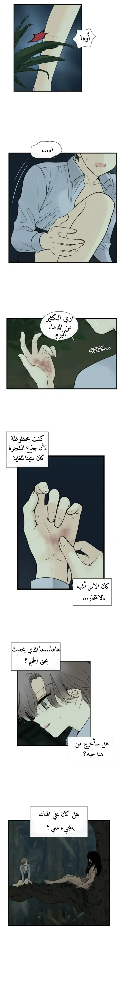 الصفحة 21