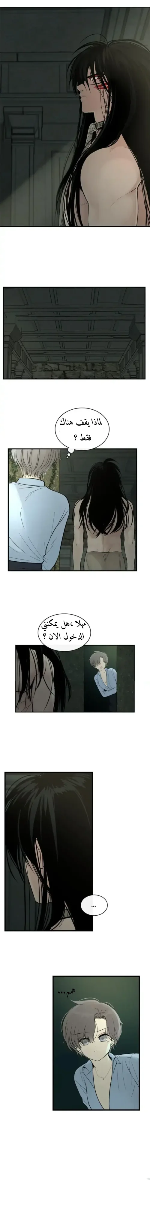 الصفحة 17