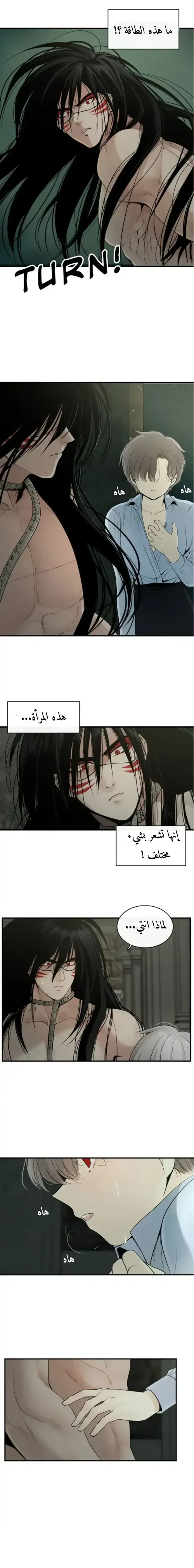 الصفحة 19