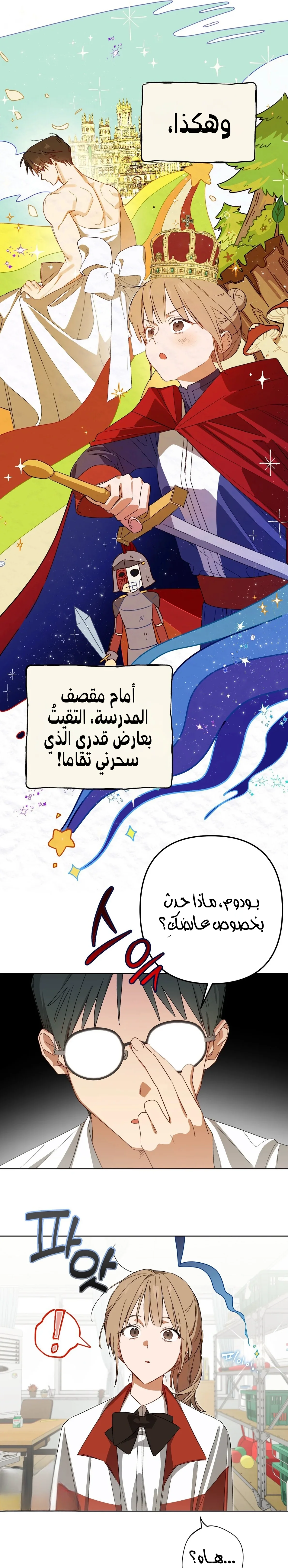 الصفحة 13