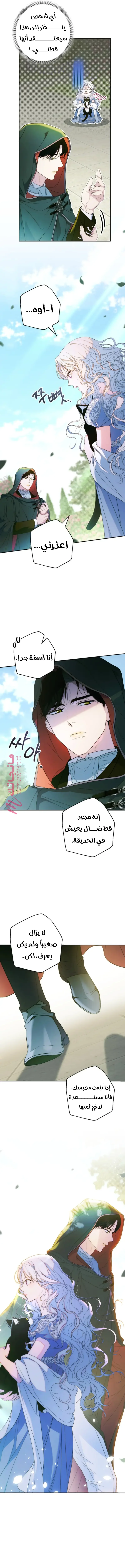 الصفحة 17