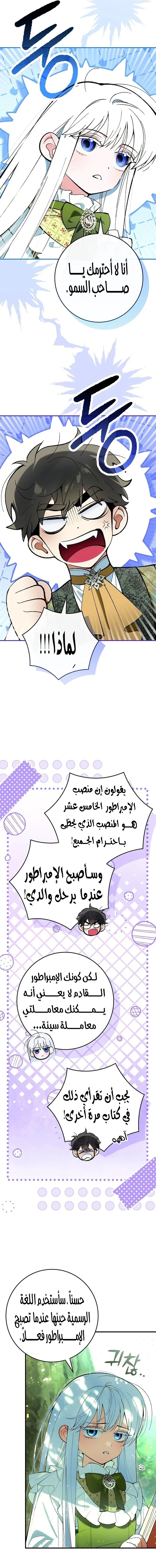 الصفحة 17