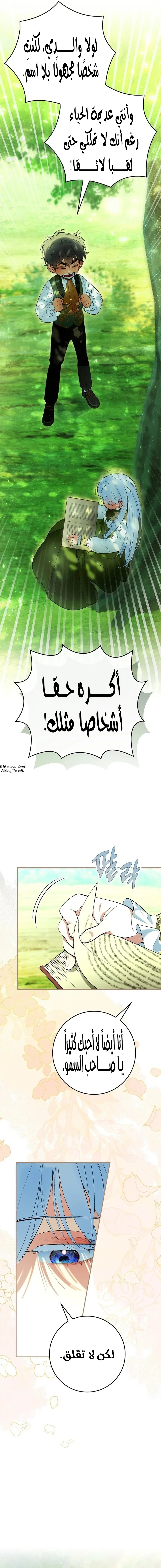 الصفحة 19