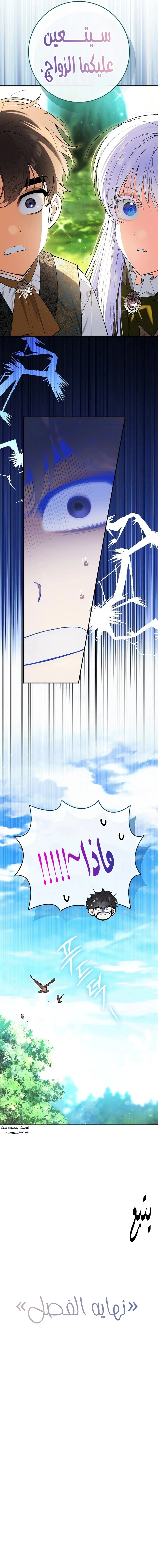 الصفحة 25