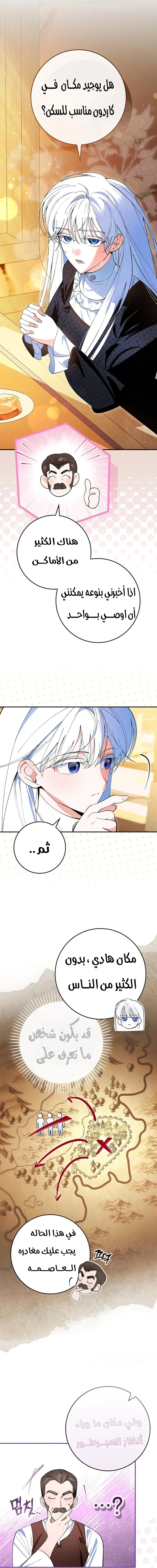 الصفحة 19