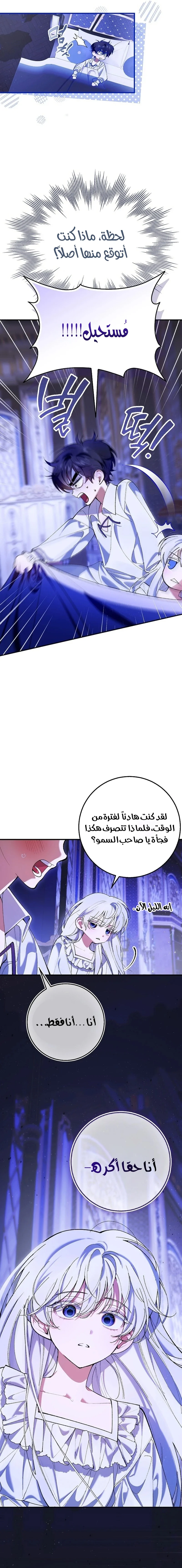 الصفحة 11