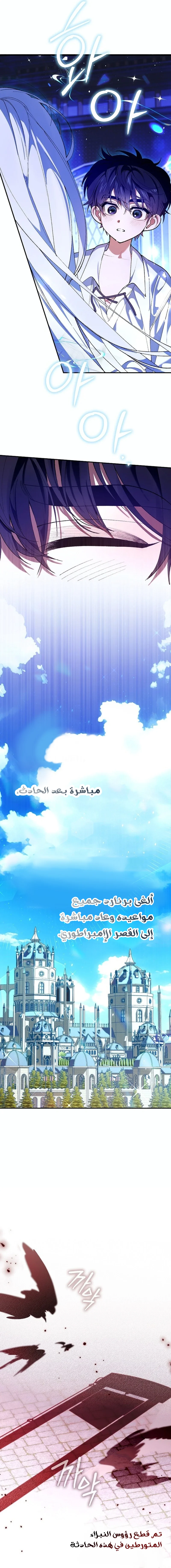 الصفحة 17
