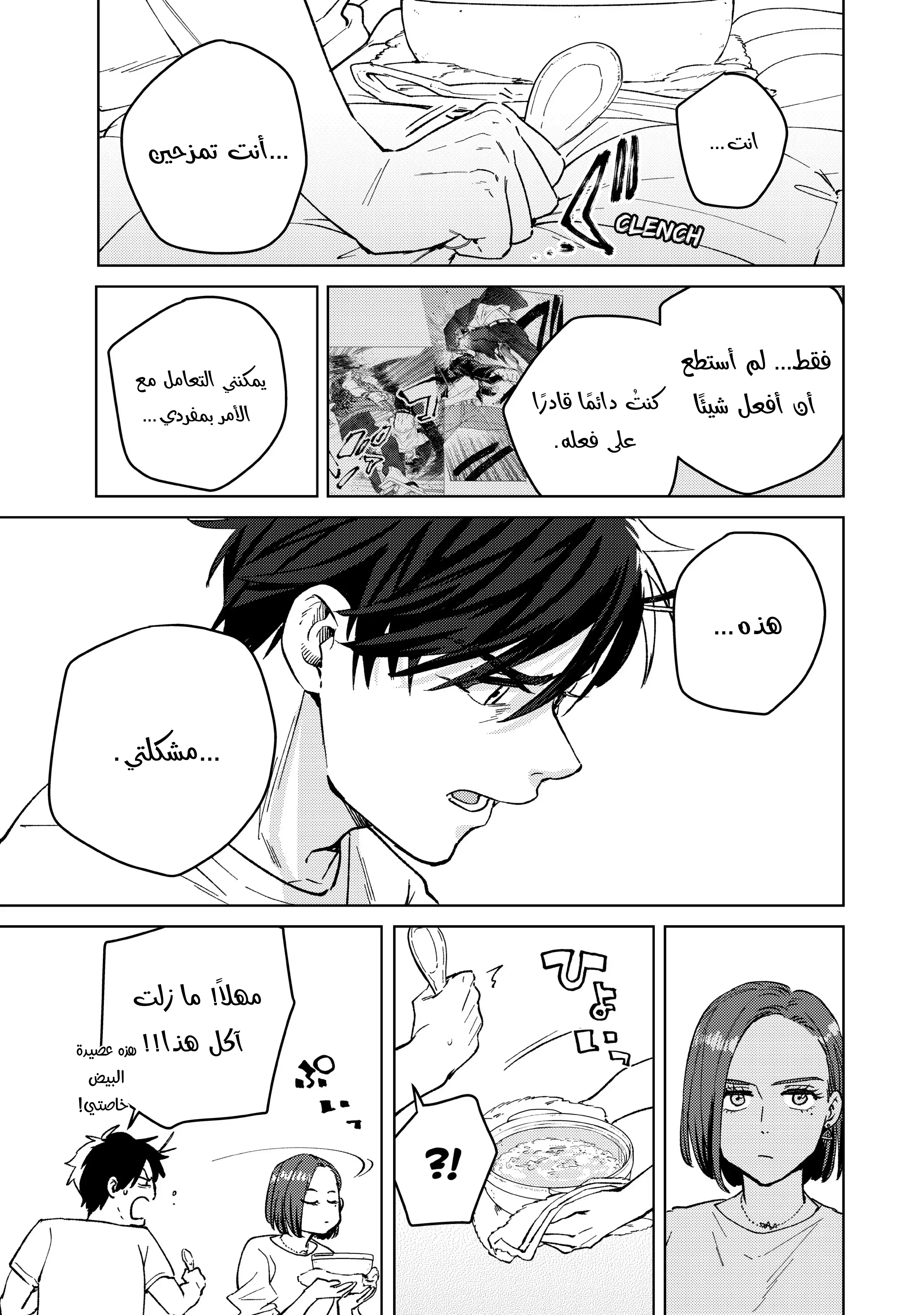 الصفحة 13