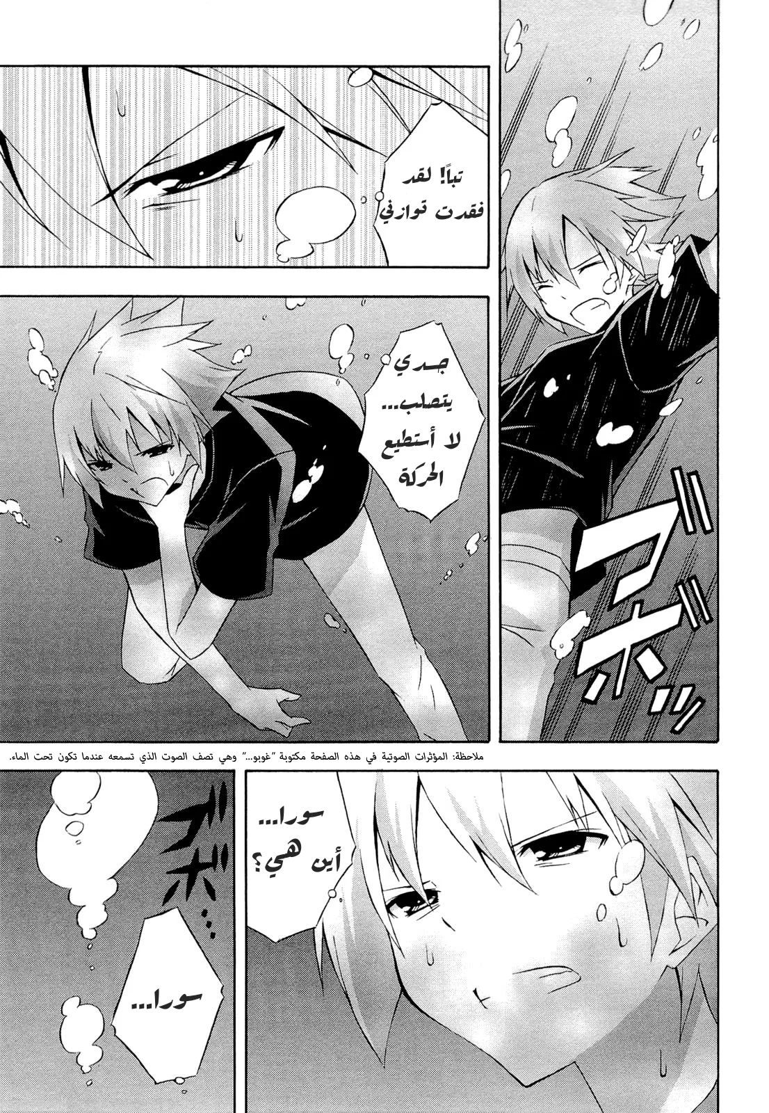 الصفحة 13