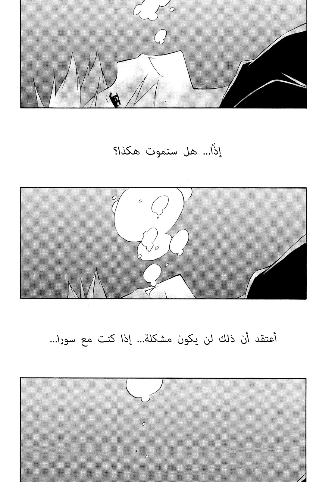 الصفحة 14