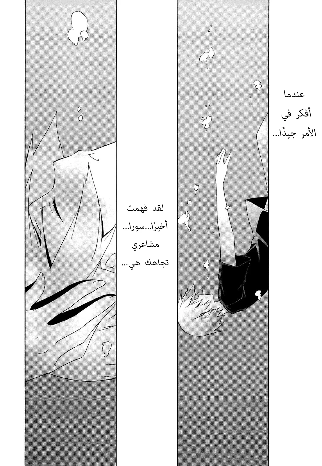الصفحة 15