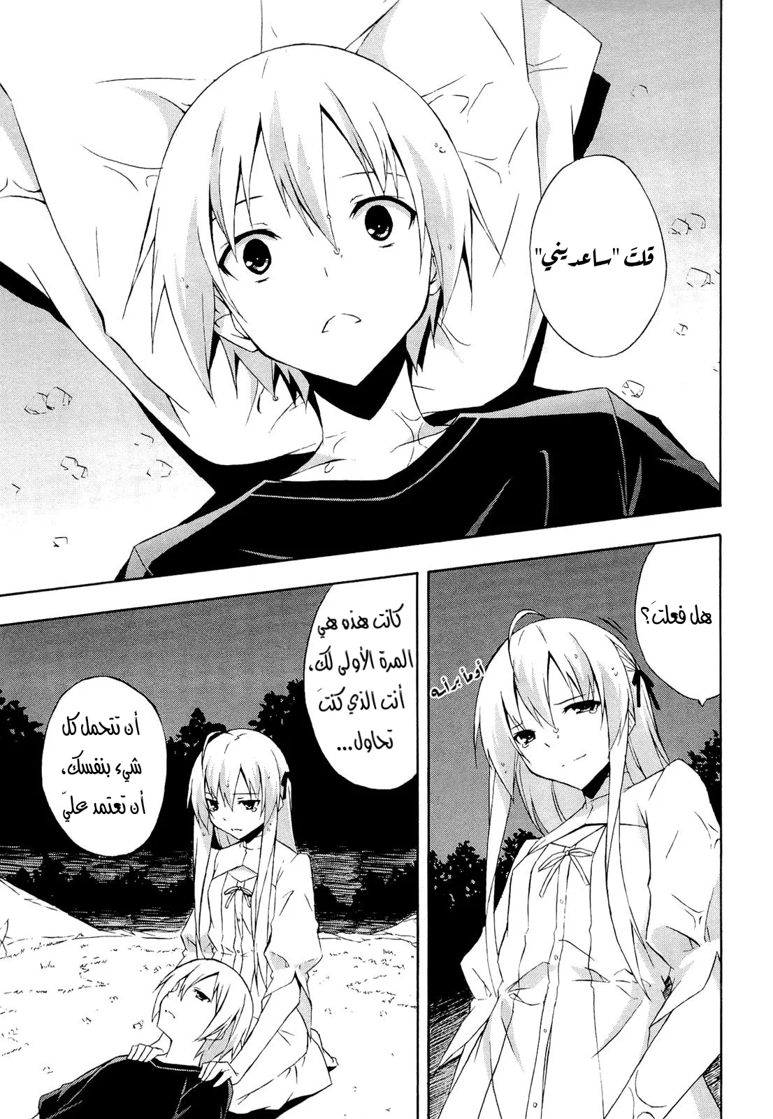 الصفحة 19