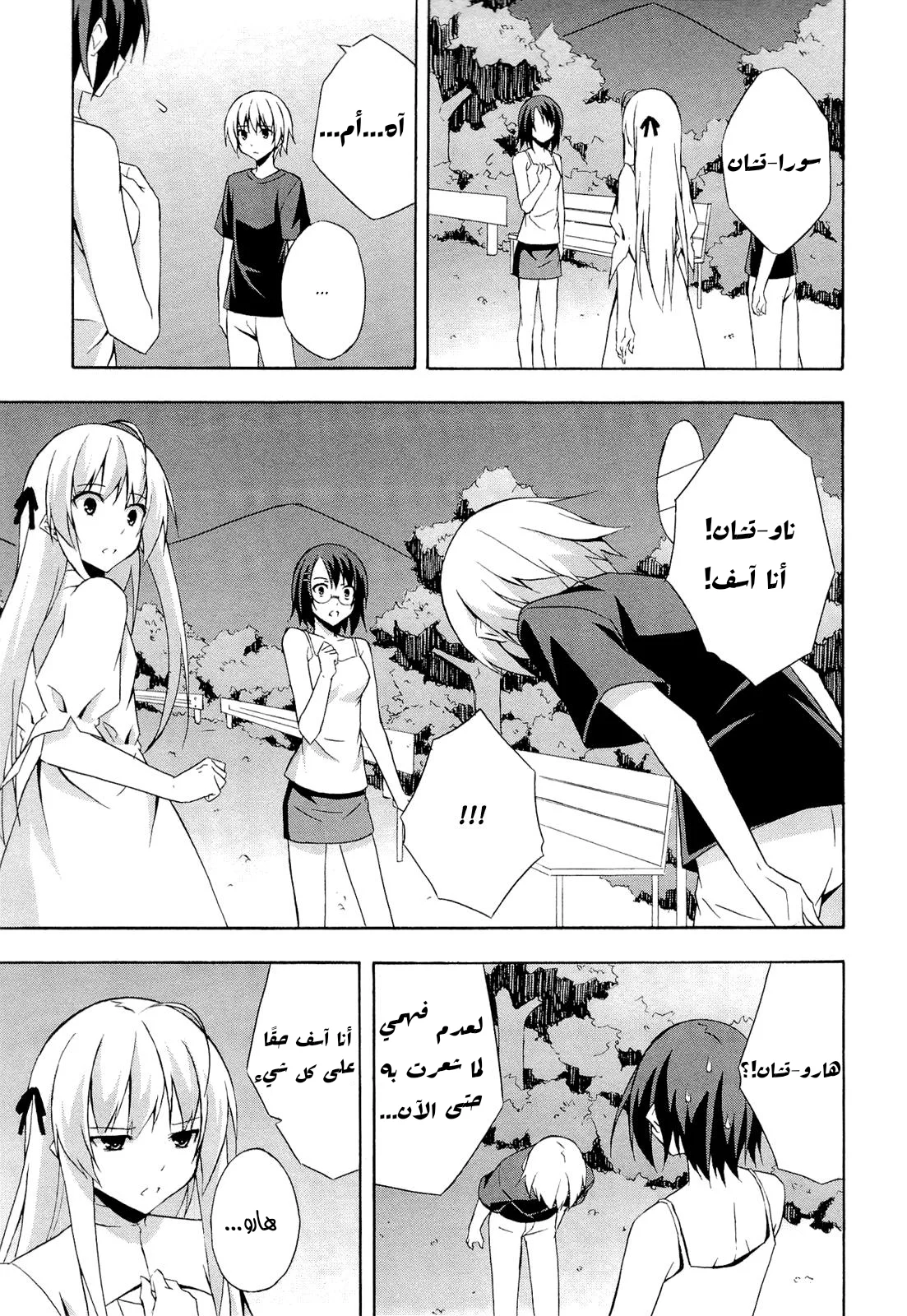 الصفحة 17