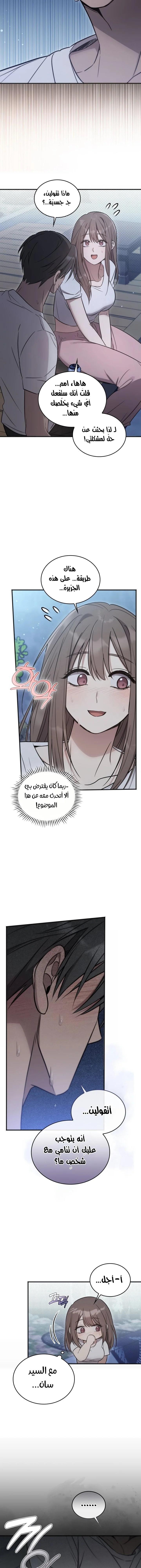 الصفحة 13