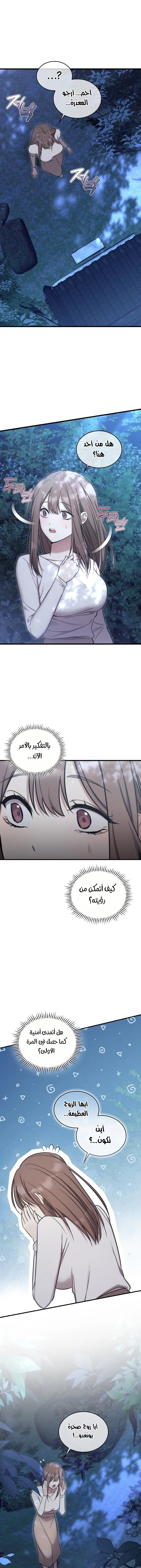الصفحة 13